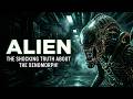 ALIEN Full Movie 2024 Romulus Superhero FXL Action Fantasy Movies 2024 In English Game Movie
