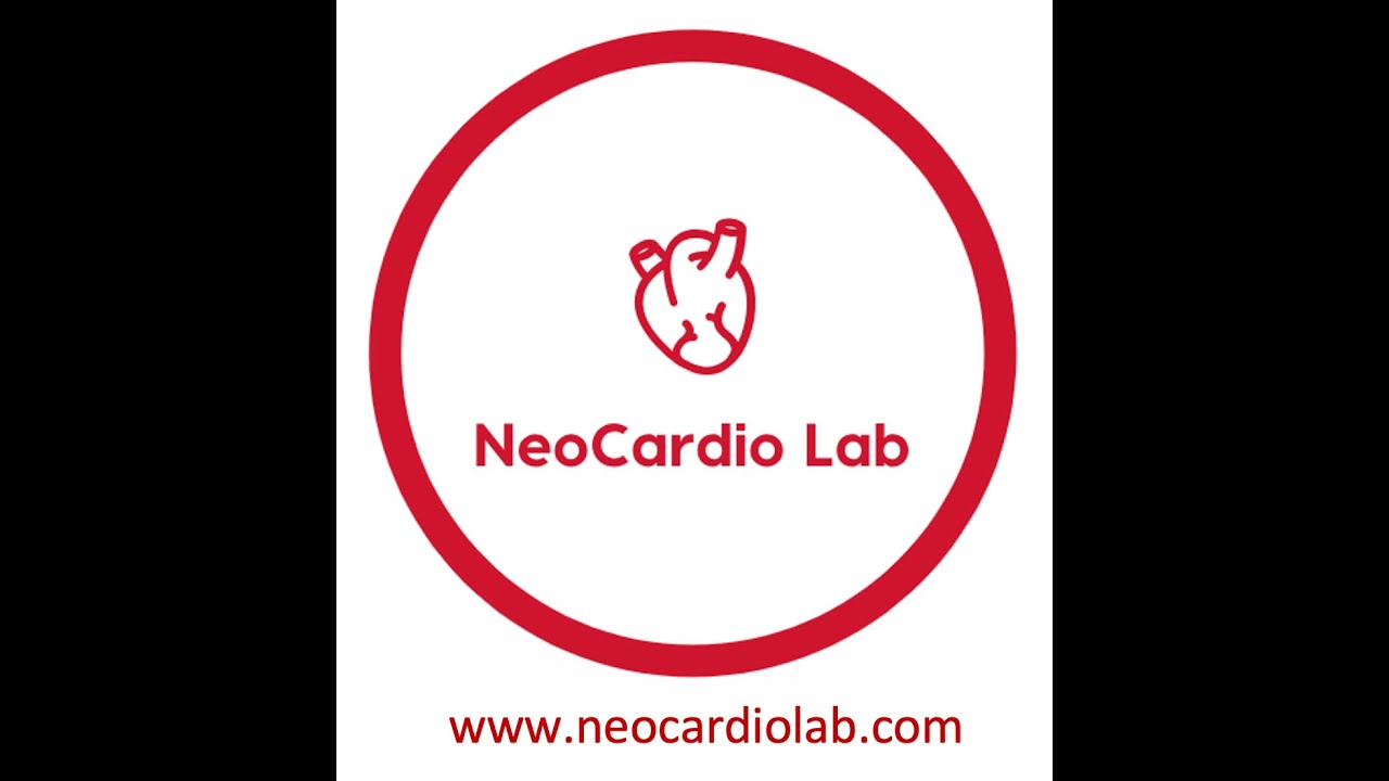 Brief review of the PDA Physiology - NH-TNE