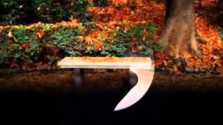 Alberto Plaza  -   De tu ausencia ♥ღ♥