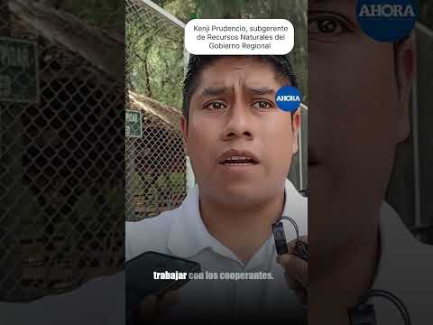 🌿 Huánuco crea nueva Área de Conservación San Pedro de Chonta 🏞️