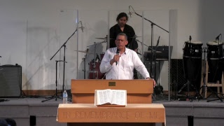 "Vino Palabra de Dios"