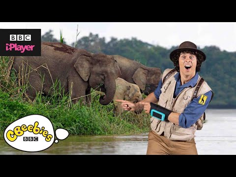 安迪的5大史詩性失敗|CBeebies (Andy's Top 5 Epic Fails | CBeebies)