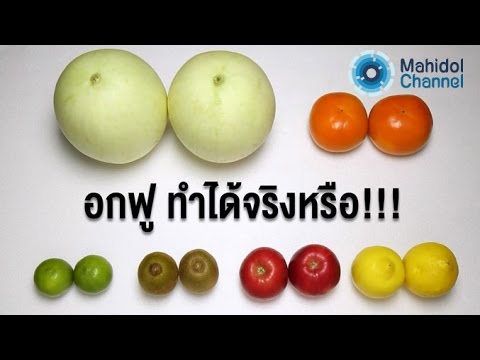 จะติดต่อใครถ้าคุณมีหน้าอกเล็ก หน้าอกเล็กชายจ้องมอง