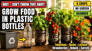 Don't Throw Away Your Plastic Bottles — Grow Food in Them Instead
