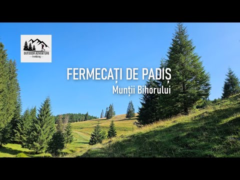 Fermecați de Padiș. Munții Bihorului. [4k]
