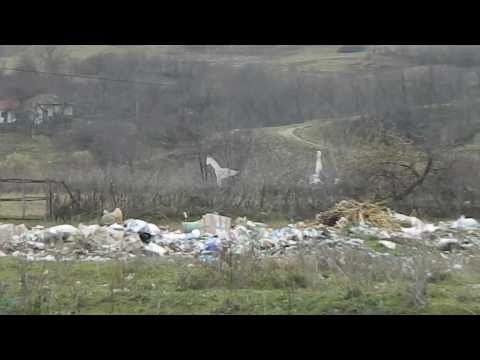 AGRESIUNE ASUPRA MEDIULUI