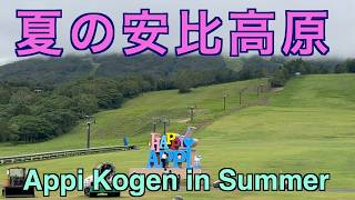 夏の安比高原【Appi Kogen in Summer】