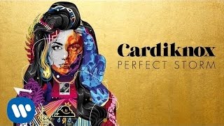 Cardiknox - Perfect Storm (Official Audio)