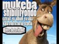Mukeba Beta Lisolo