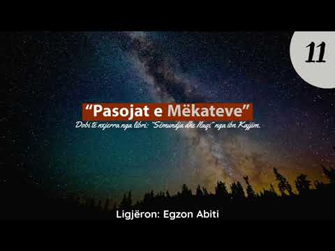 11. Dobësimi i dëshirës së zemrës për pendim - Egzon Abiti
