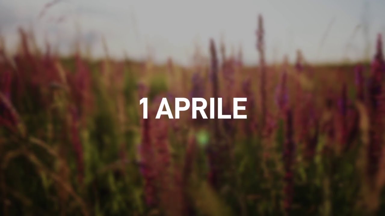 1 Aprile 2025 | Meditazione Parole di Vita