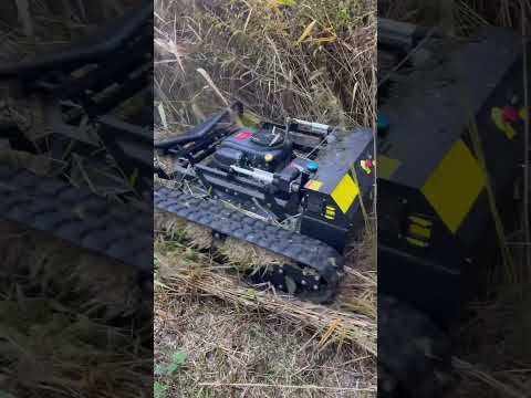 Vodex PowerTrim im Einsatz.#funkraupe #hangmäher #farming #lawnmower