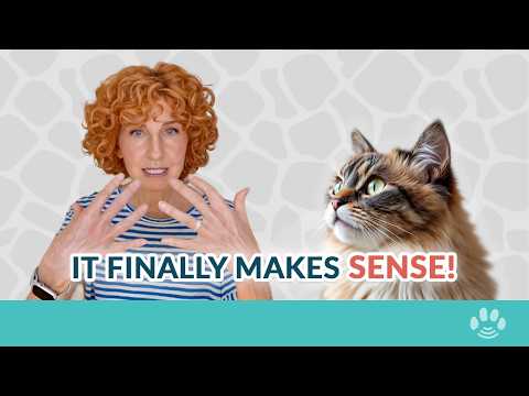 5 signs Your Pet Was Saying Goodbye