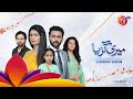 MERI GURIYA | FULL OST I AAN TV | Pakistan's First Family Entertainment Channel