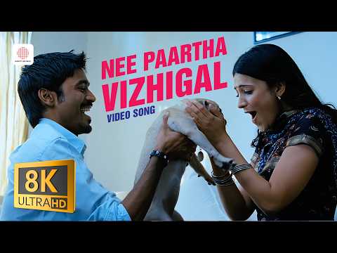 Nee Paartha Vizhigal — watch video