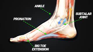 I Solved Foot Pain After 15 Years As A PT (here's how)