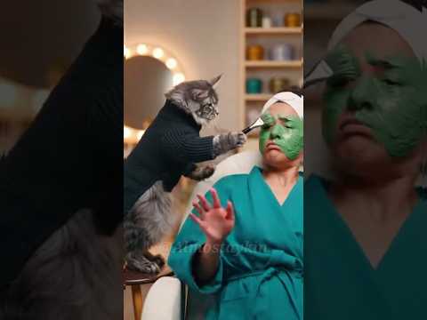 Who among you wants to make a musk? 🐈😰 #babifreitas #catsusa #fapaws