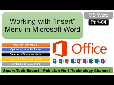 What are main options of Microsoft Word available in Insert Menu i.e Tables, Picture, Charts, Links?