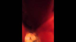 Mining for Gold- Cowboy Junkies style