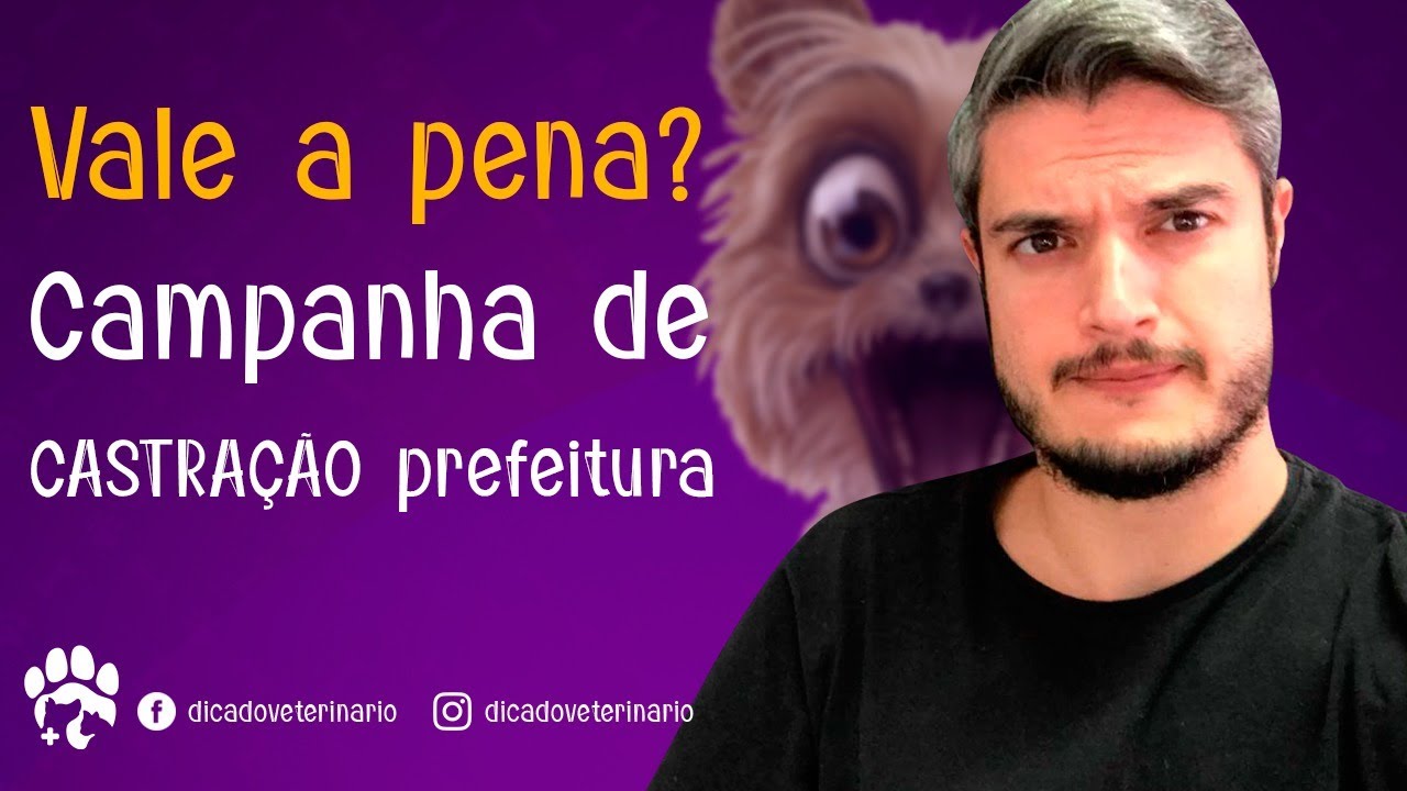 Campanha de Castração - Vale a Pena Castrar meu Cachorro nas Campanhas da Prefeitura?