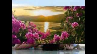 Come l' acqua dentro il mare ( MODA')