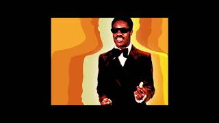 Stevie Wonder - Chemical Love - 5 hours of the great tune