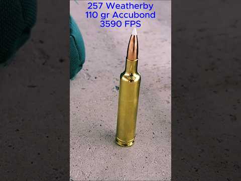 Ranking the Hornady Cartridges: Worst to Best