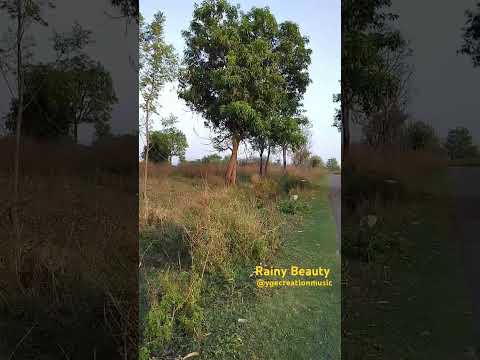 feel the Beauty of Nature #ygecreationmusic #nature #villagevlog #music