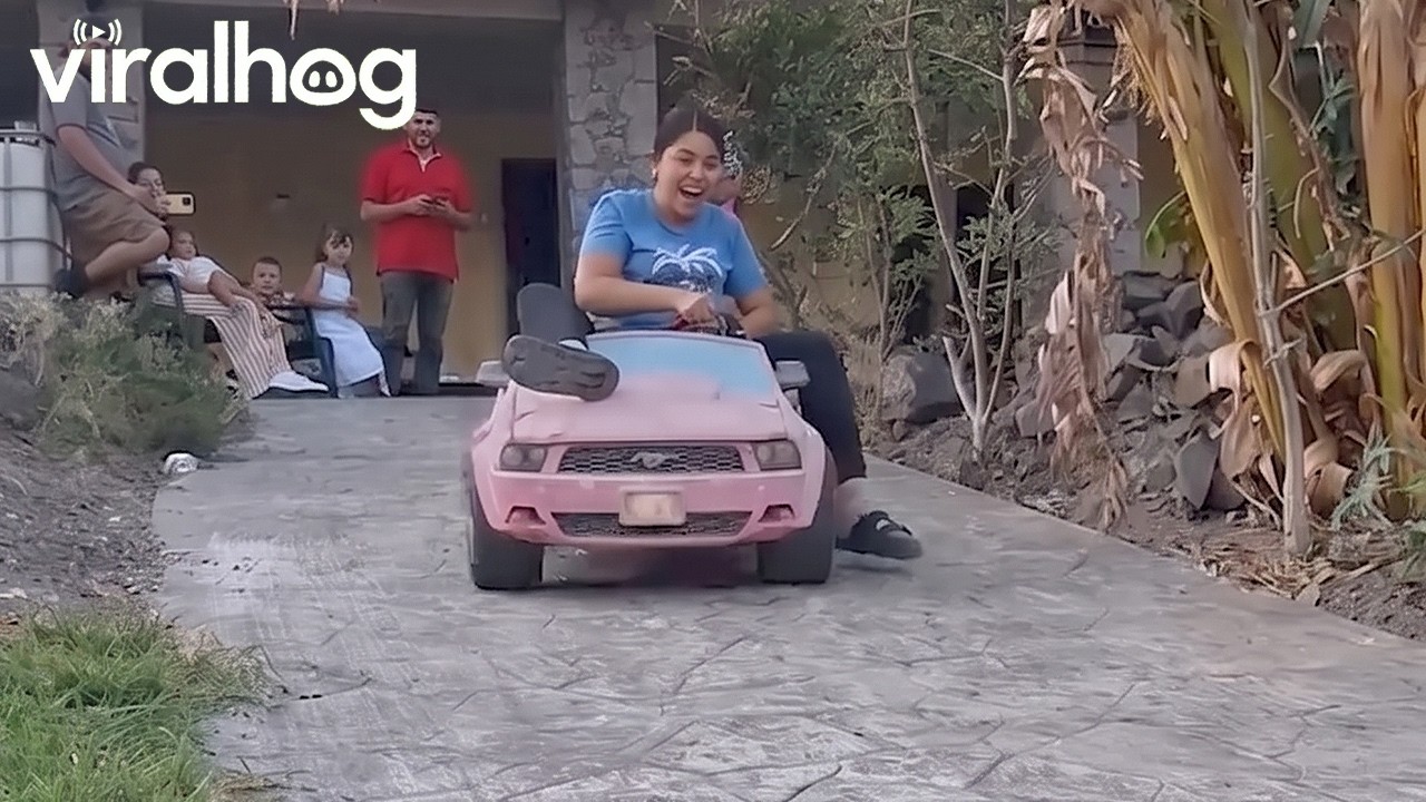 Tokyo Drift Gone Wrong || ViralHog