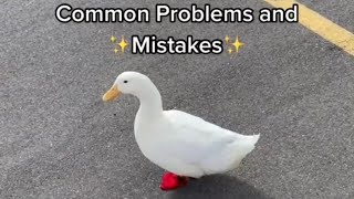 How to Pick Up a Duck