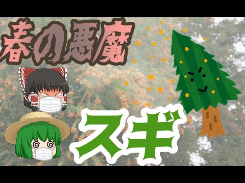 被子植物の木9.png