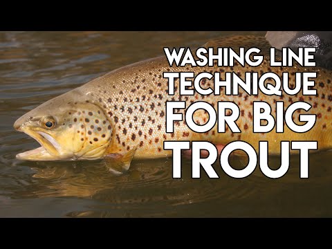 Deadly Lake Fishing Technique for Trout
