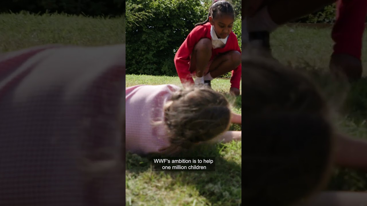 Steve Backshall: a daily dose of nature for schools #nature #wwf