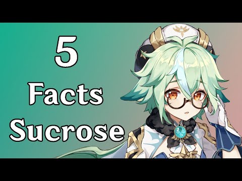 5 Facts You Need to Know About Sucrose in Genshin Impact