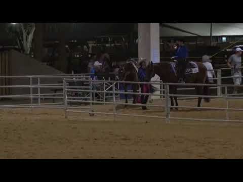 South Florida Reining Horse Association August 9, 2019