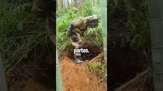 Apicultor quita nido de Avispones🐝 #shorts