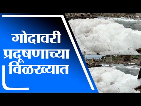 Nashik | नाशिकमध्ये गोदावरी नदी अडकली प्रदूषणाच्या विळख्यात - Marathi News | Massive pollution in godavari river in nashik | TV9 Marathi