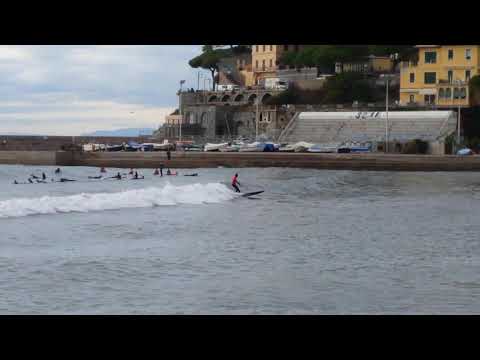 Quiksilver Longboard Classic Recco 2018