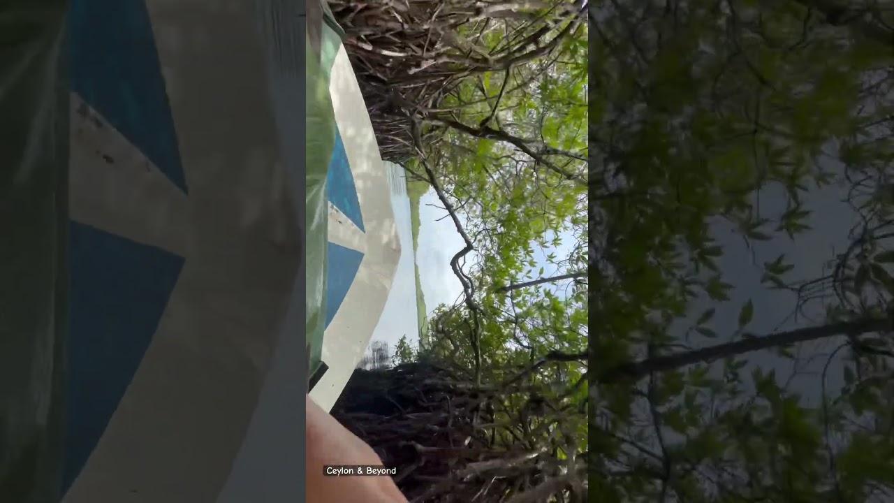 YouTube Short thumbnail