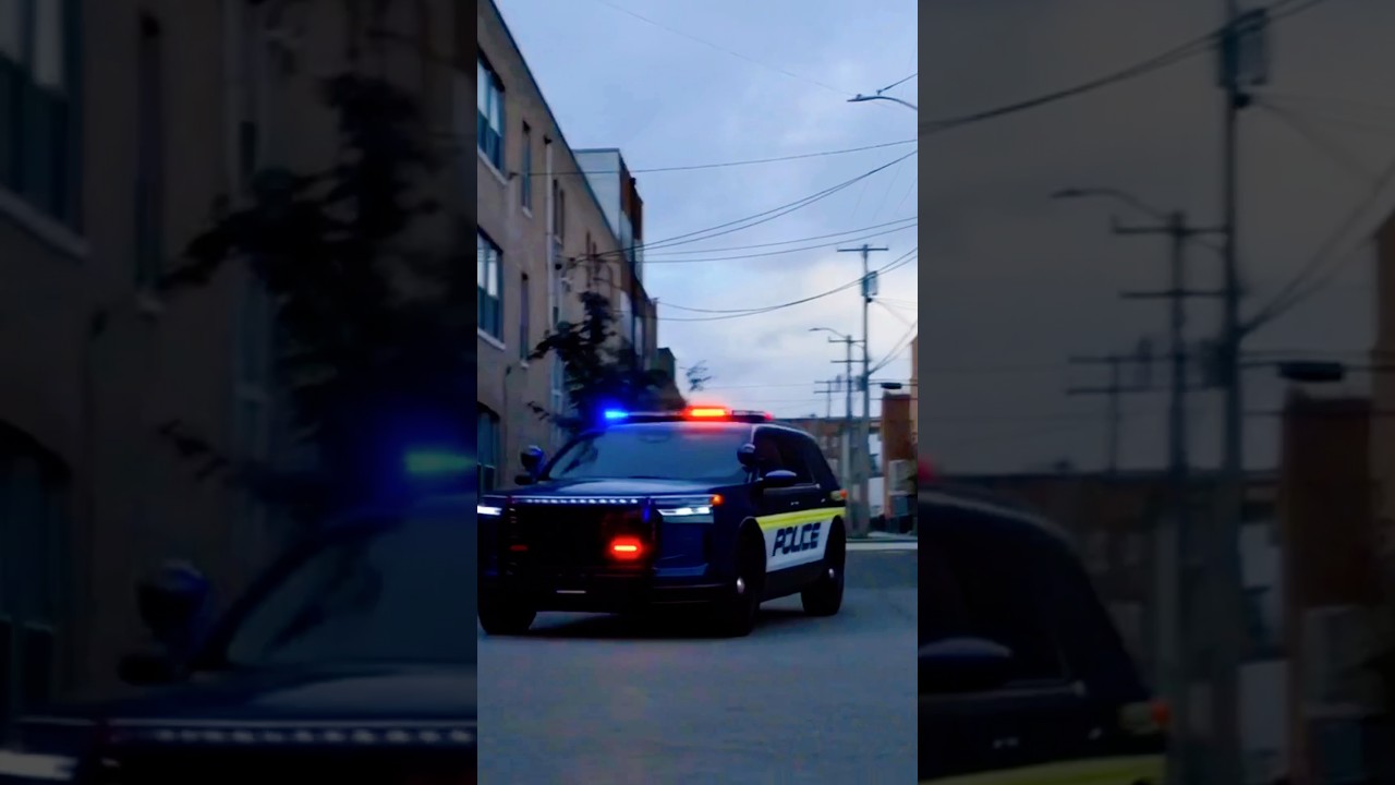 විනාඩියෙන් ජපන් | හොරු පොලිස් උසාවි සම්බන්ධ වචන