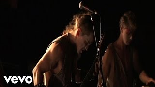 Sleepytime Gorilla Museum - Formicary (Live)