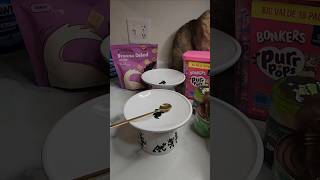 Feed my cats 🍽 #asmr #cat #asmrcat #catshorts #catfood #catfeeding #cateating #cat #youtube