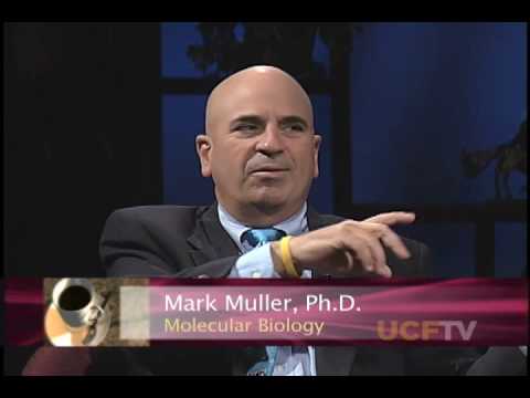 UCF Faculty Lounge - MARK MULLER/JANET WHITESIDE