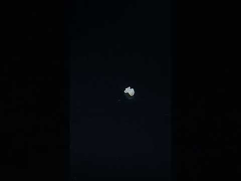 YouTube 썸네일