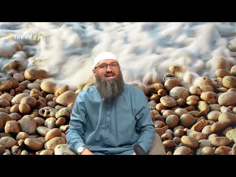 Možemo li koristiti olakšice musafira ako idemo na vikendicu u Hrvatsku, a živimo u BiH? - E.Pezić