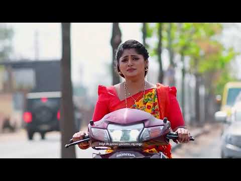 Janaki Ramayya Gari Manavaralu | Ep - 252 | Webisode | Feb 24 2025 | Zee Telugu