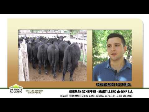 219   german scheffer  30 mayo