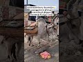 காணகண்கோடி வேண்டும் முருகனுக்காக தி�