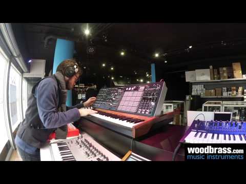 Test Woodbrass : Arturia MatrixBrute