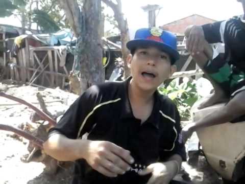 Mc pinguim improviso